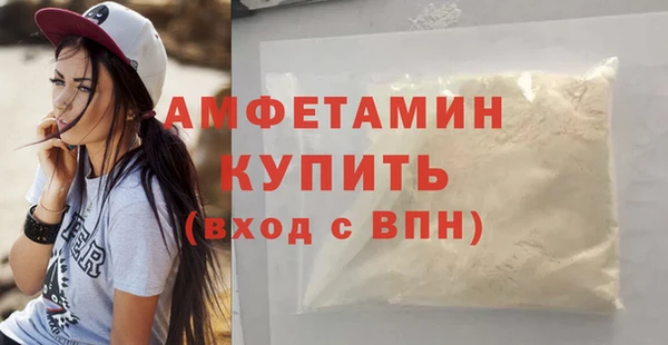 сатива Балахна