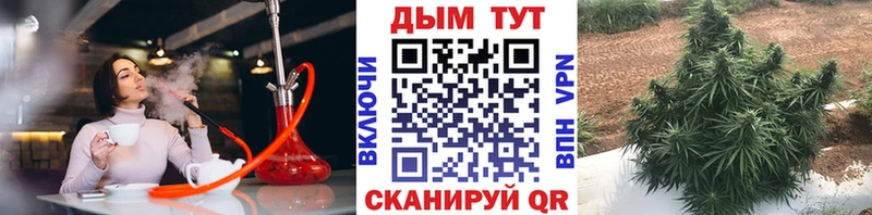 купить закладку  Богучар  Конопля OG Kush 